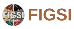 logo-figsi_hub_4_1